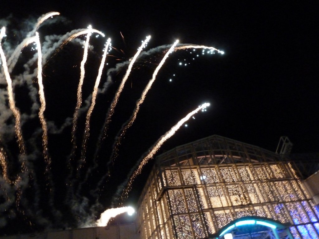 P1090089.JPG - Fireworks