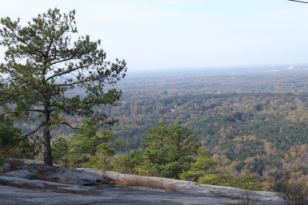 IMG_1761.JPG - Trees below and on Stone Mountain  http://en.wikipedia.org/wiki/Stone_Mountain 