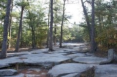 Stone Mountain