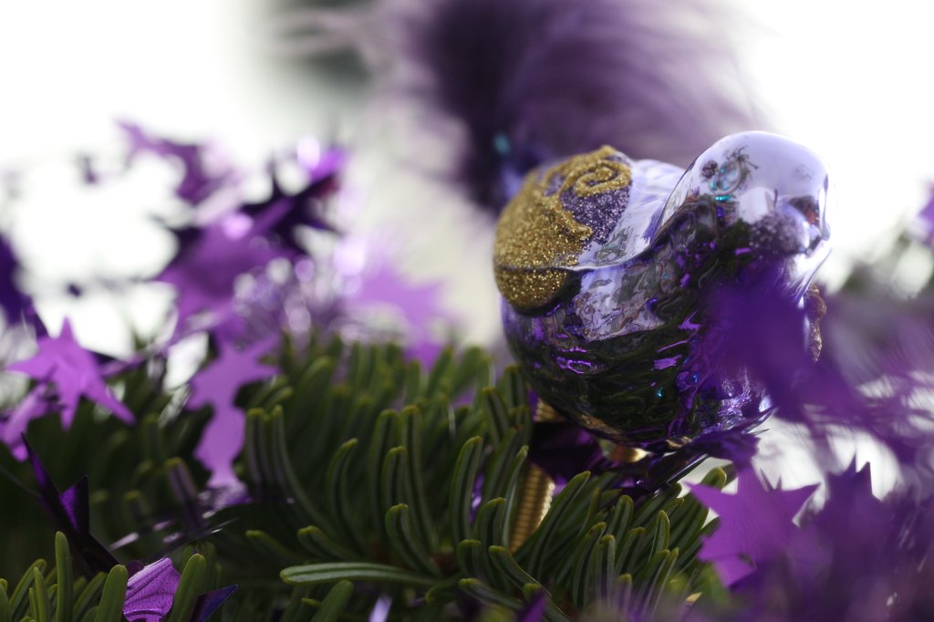 IMG_2634.JPG - Christmas tree