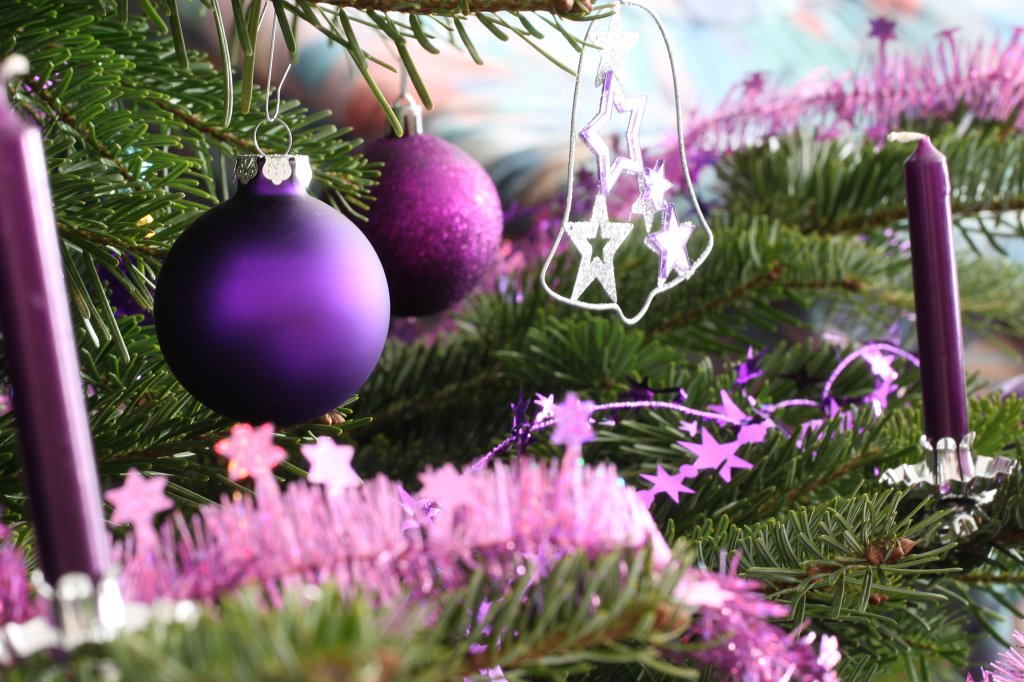 IMG_2638.JPG - Christmas tree