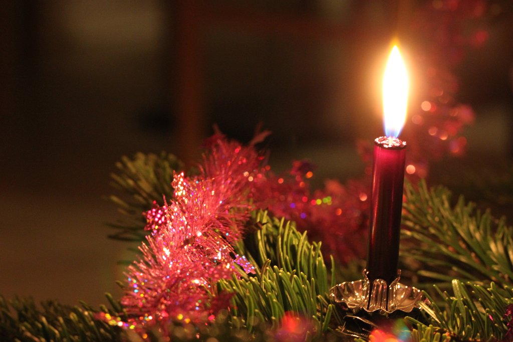 IMG_2671.JPG - Christmas tree