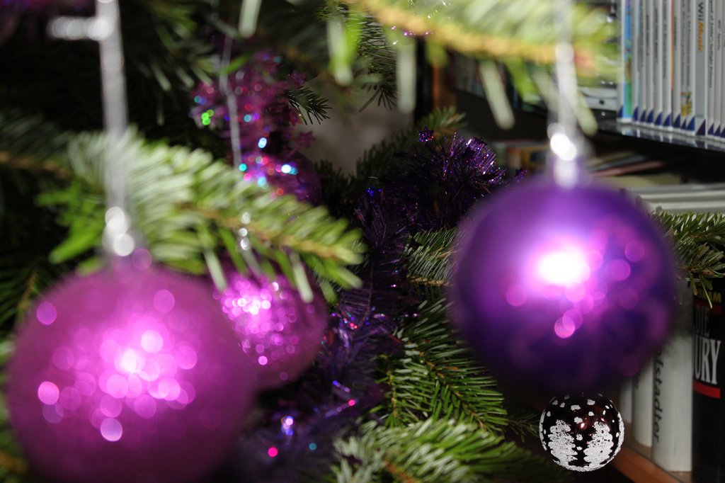 IMG_2677.JPG - Christmas tree