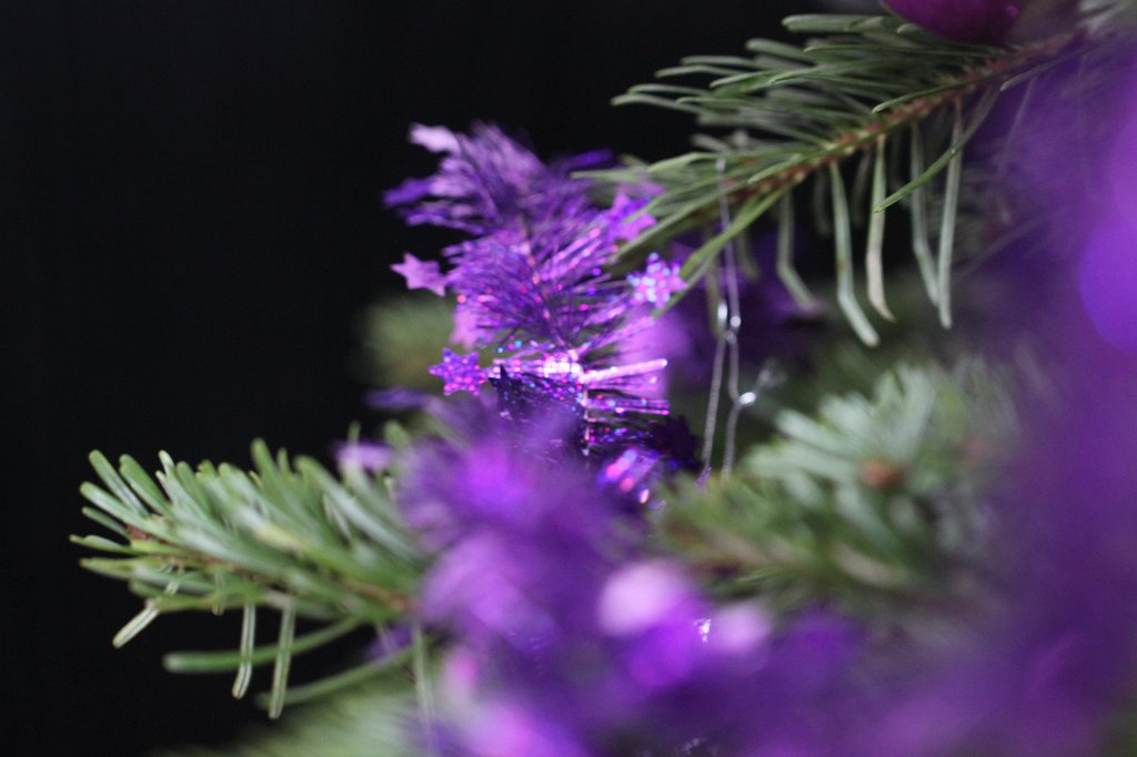 IMG_2796.JPG - Christmas tree