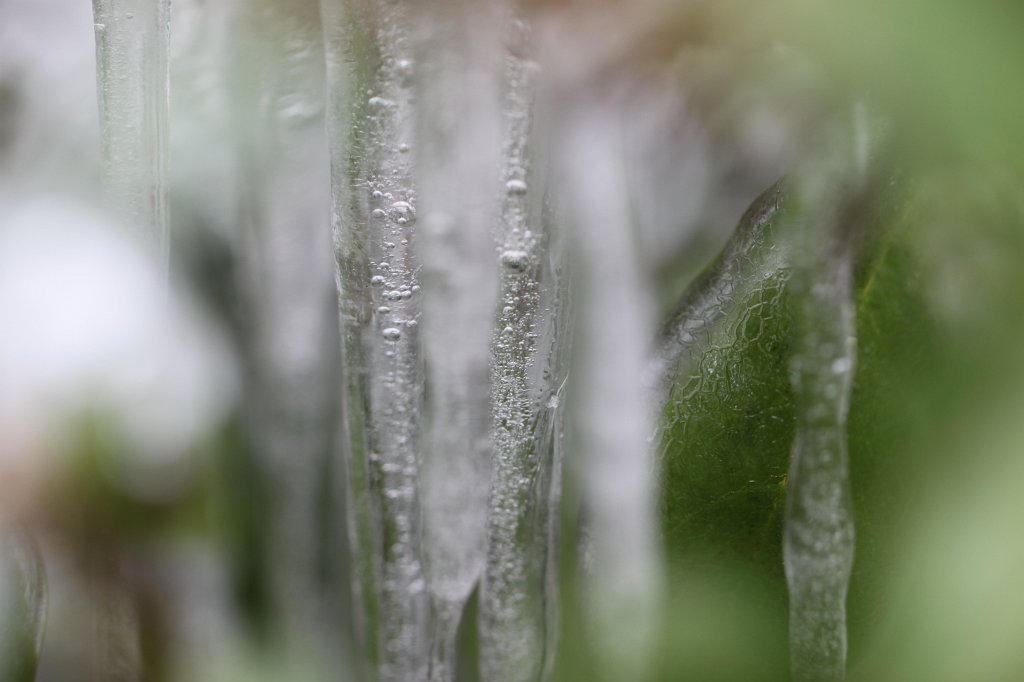 IMG_2946.JPG - Icicle forest