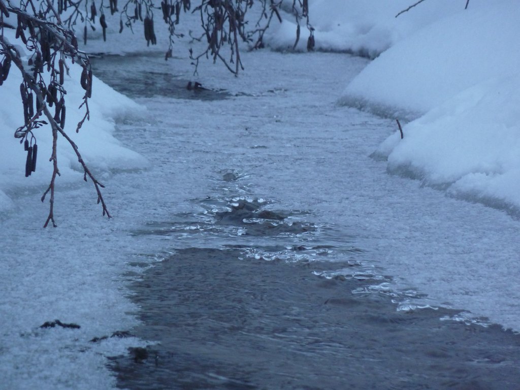 P1090464.JPG - Freezing flow