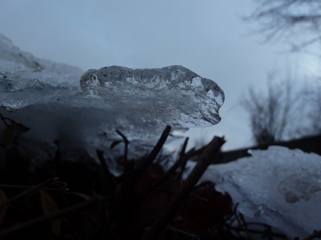 P1090584.JPG - Ice tongue