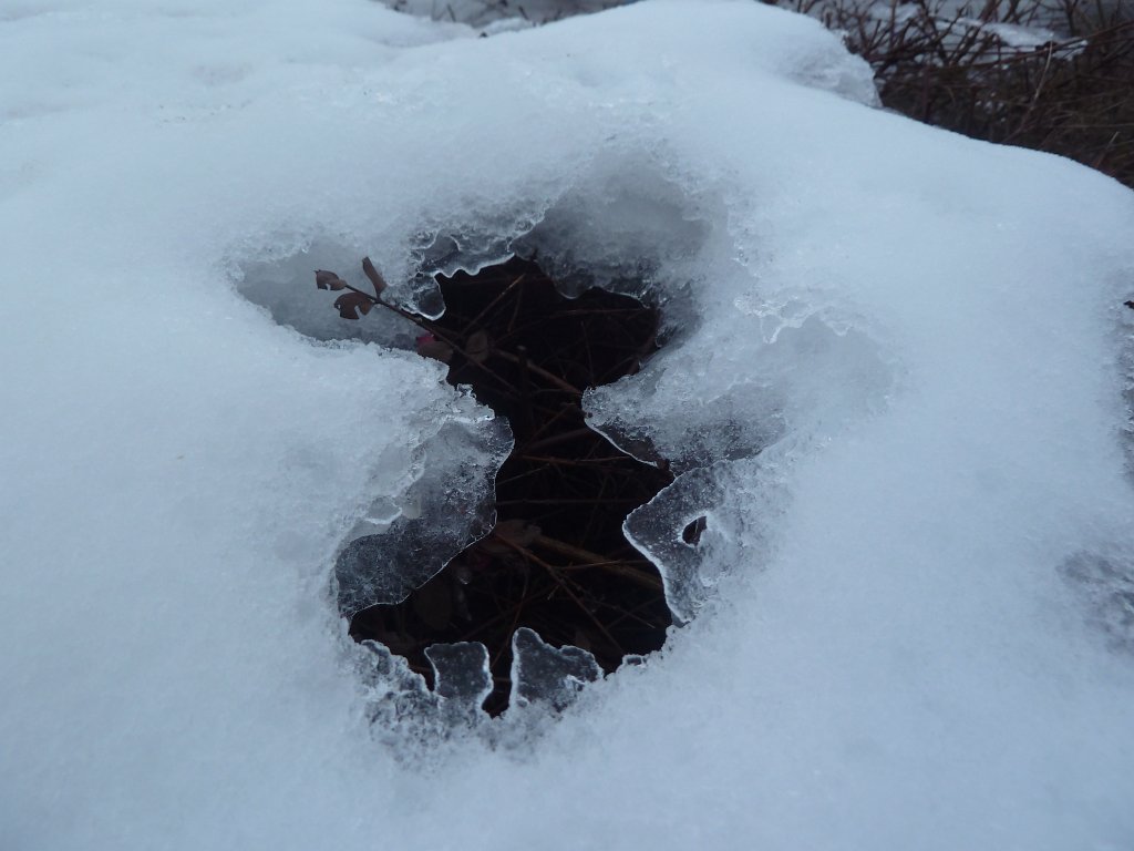 P1090585.JPG - Hole in snow and ice cover