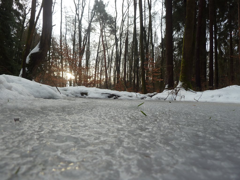 P1090589.JPG - Frozen pond