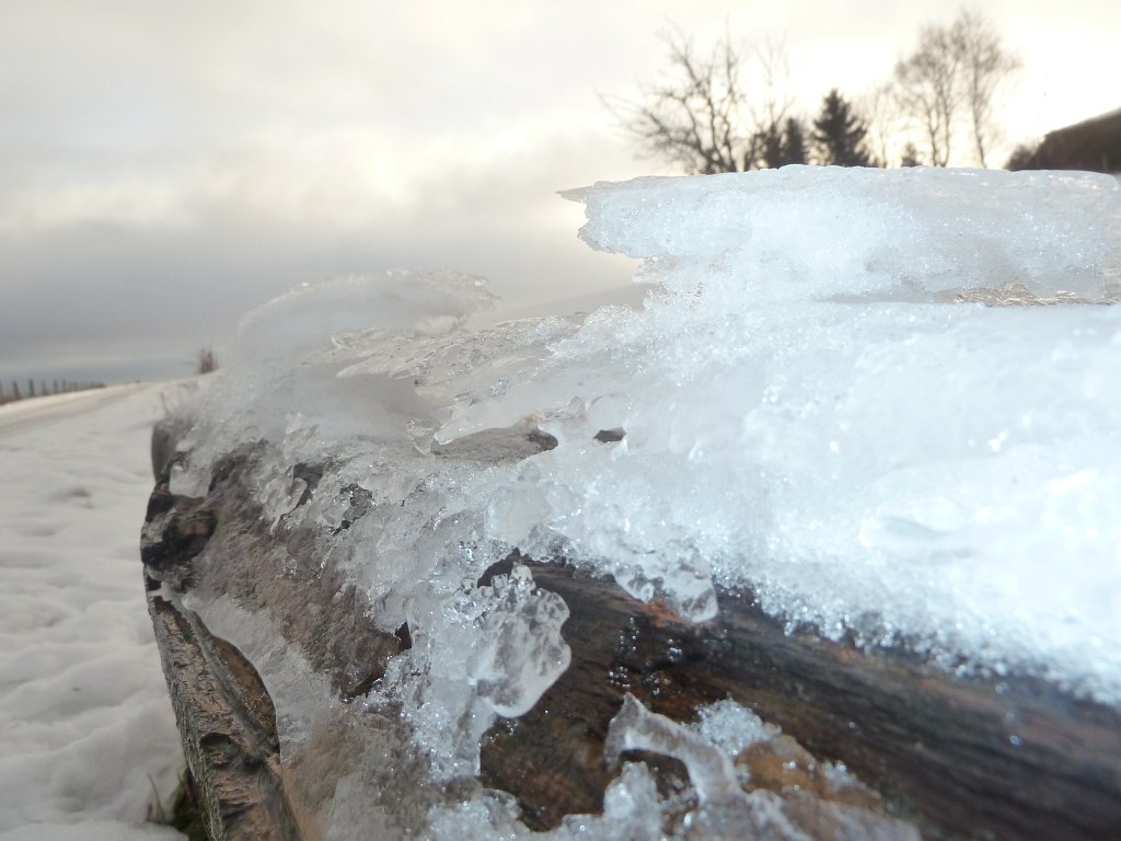 P1090591.JPG - Frozen seat bench