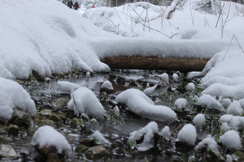 IMG_3059.JPG - Snow covered flow