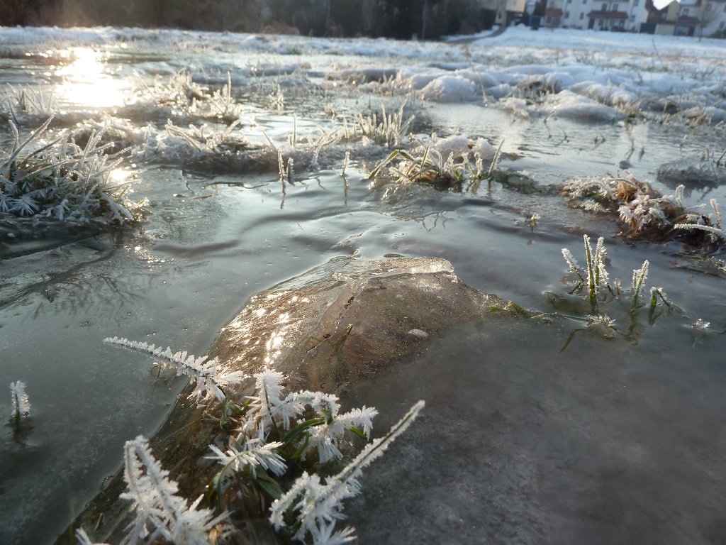 P1090662.JPG - Frozen puddle