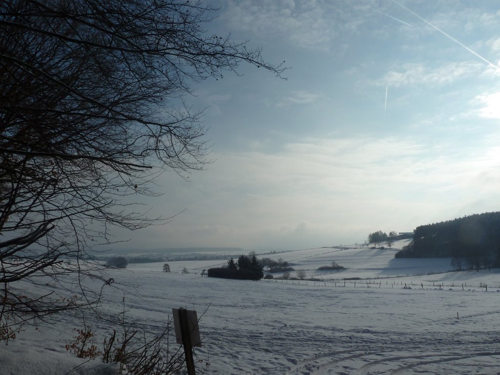 P1090733.JPG - Winter day