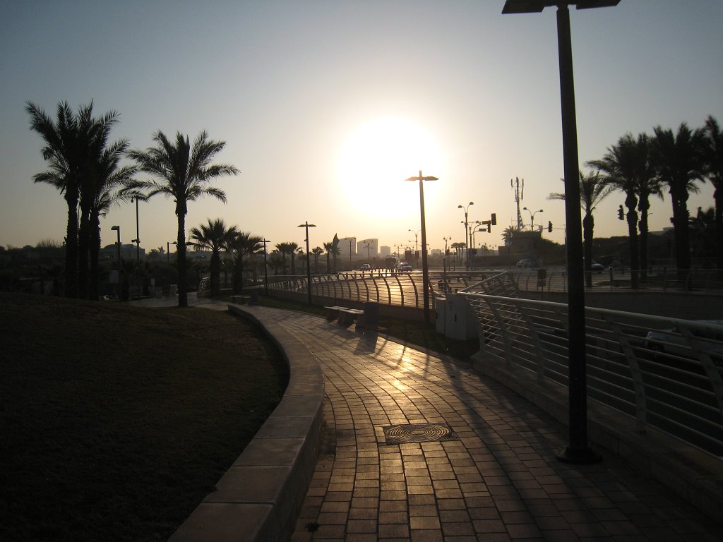 IMG_0090.JPG - Palms and sun