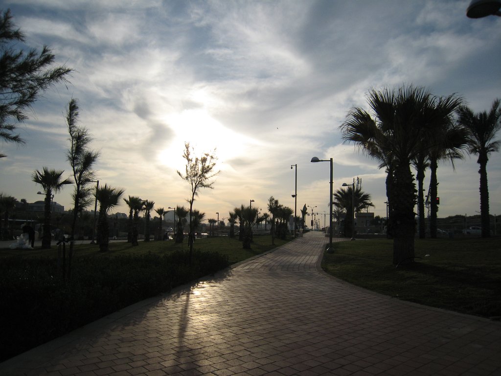 IMG_0129.JPG - Palm park