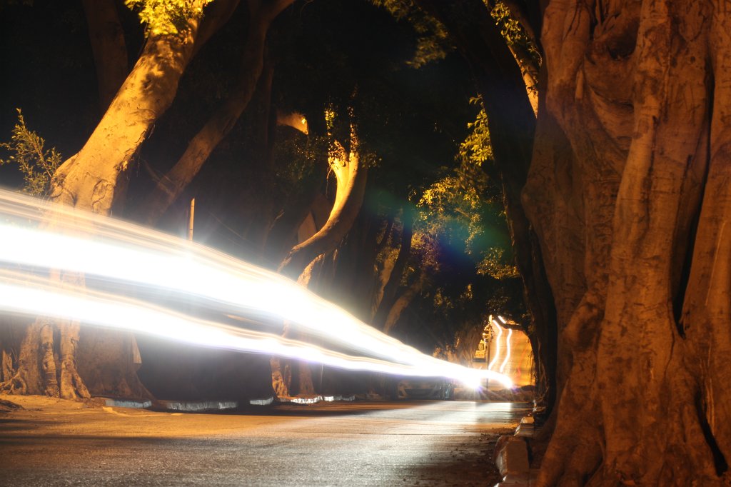 IMG_3593.JPG -  Herzeliya Pituah  Alley