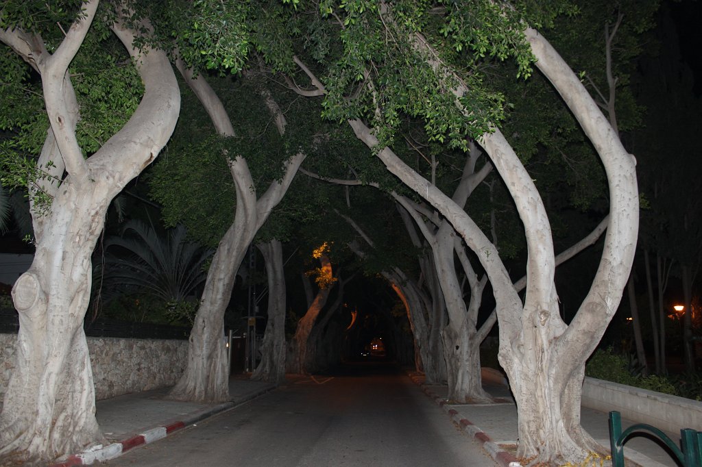 IMG_3595.JPG -  Herzeliya Pituah  Alley