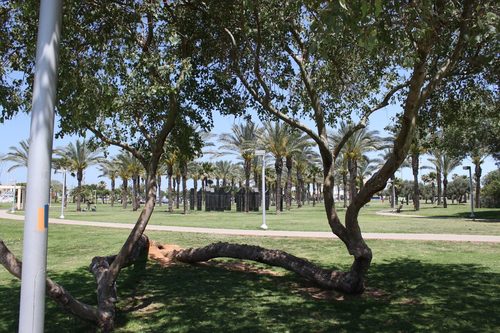 IMG_3812.JPG - HaBanim Garden