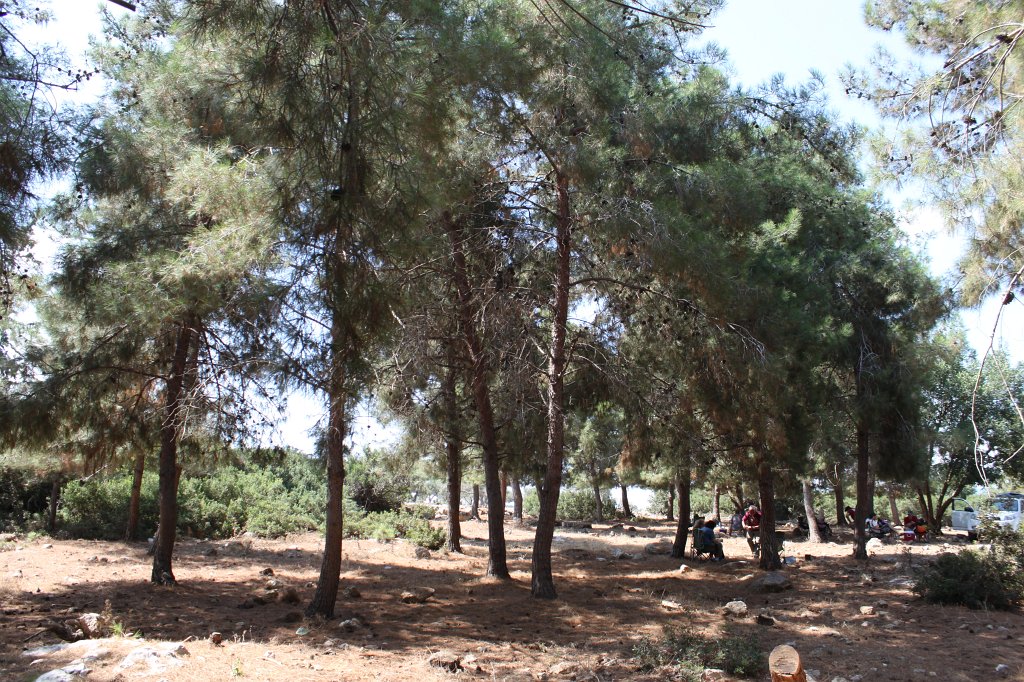 IMG_5322.JPG - Resting in the woods