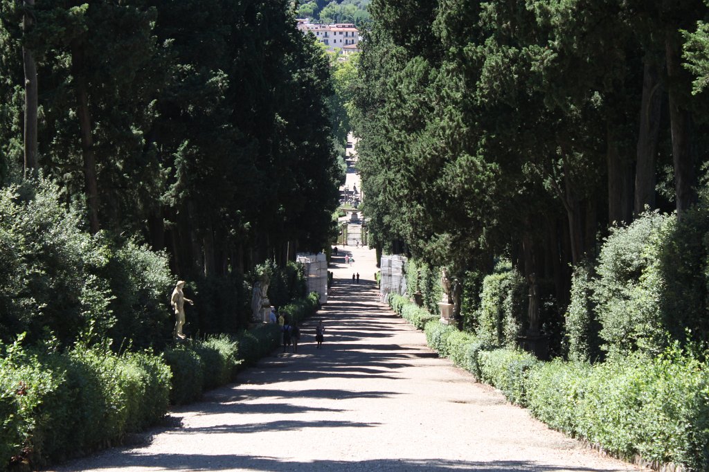 IMG_5845.JPG - Viottolone in the  Giardini di Boboli 