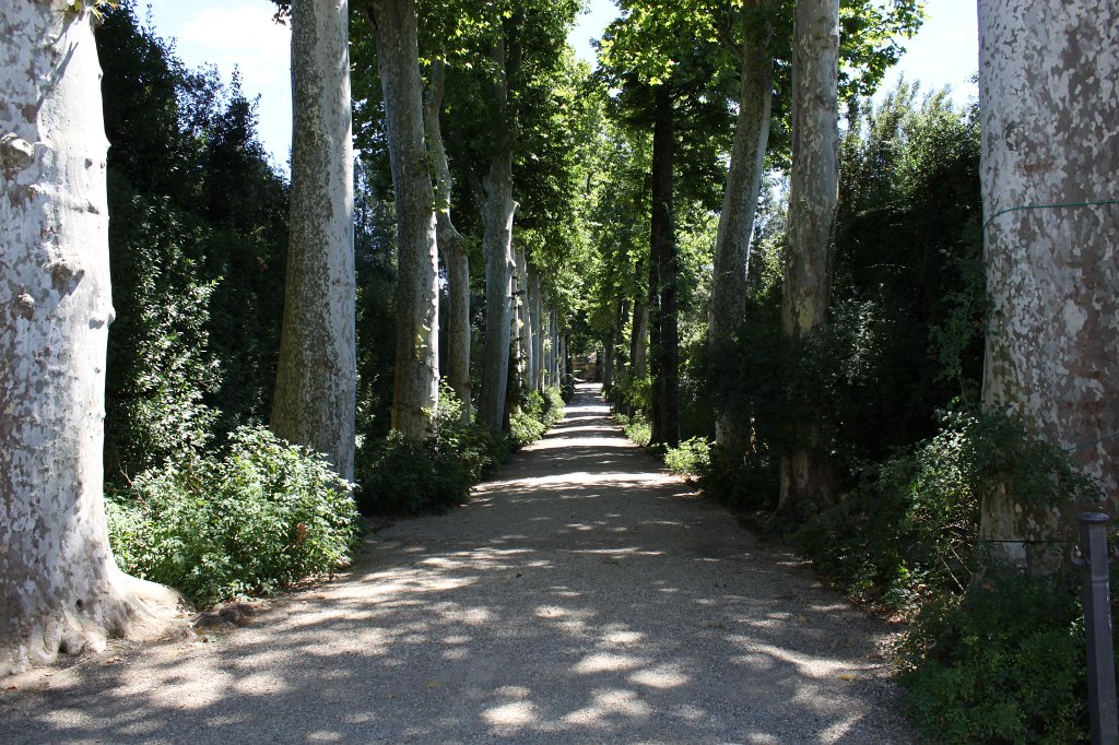 IMG_5854.JPG - Allée