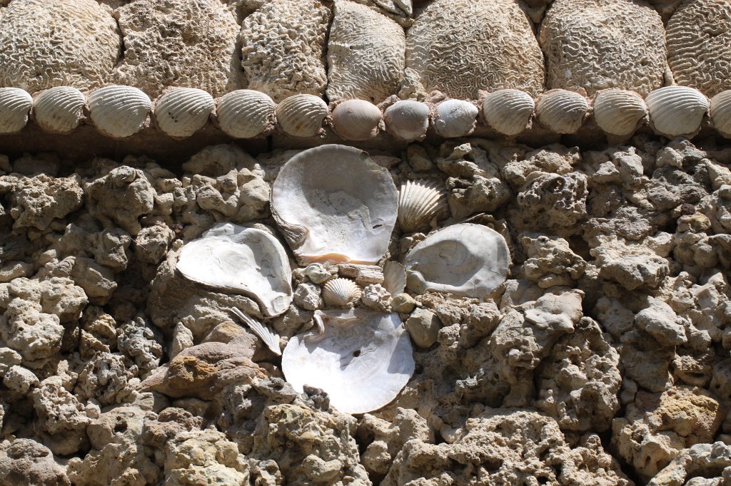 IMG_6427.JPG - Antico Istituto di Botanica in the  Orto botanico 