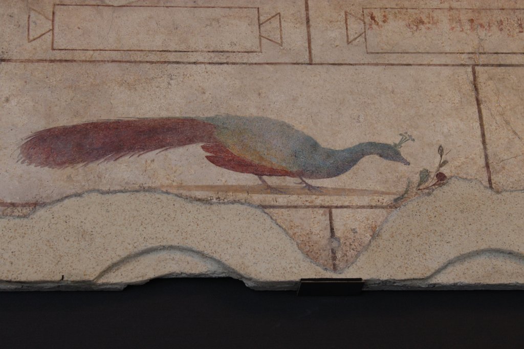 IMG_6791.JPG - Mosaico Pavimentale, Roma, Dalla vigna Maccarani, presso S. Saba sull'Aventino, II sec. d. C.  National Museum of Rome - Palazzo Massimo alle Terme 