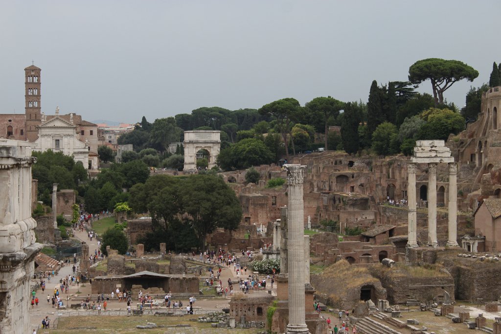IMG_7309.JPG -  Roman Forum 