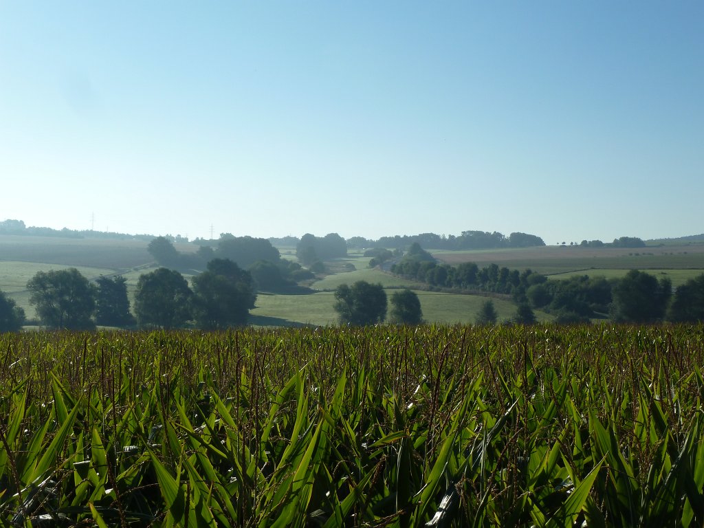 P1100710.JPG - Heisterbach