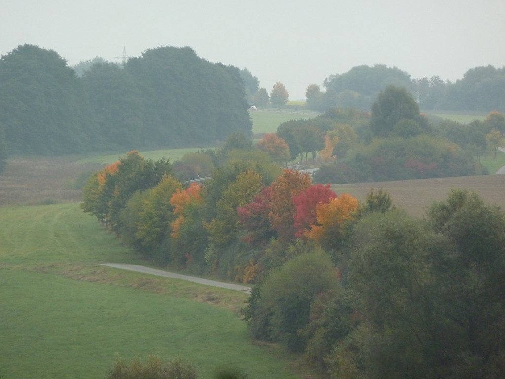 P1100798.JPG - Colourful trees along the Heisterbach road