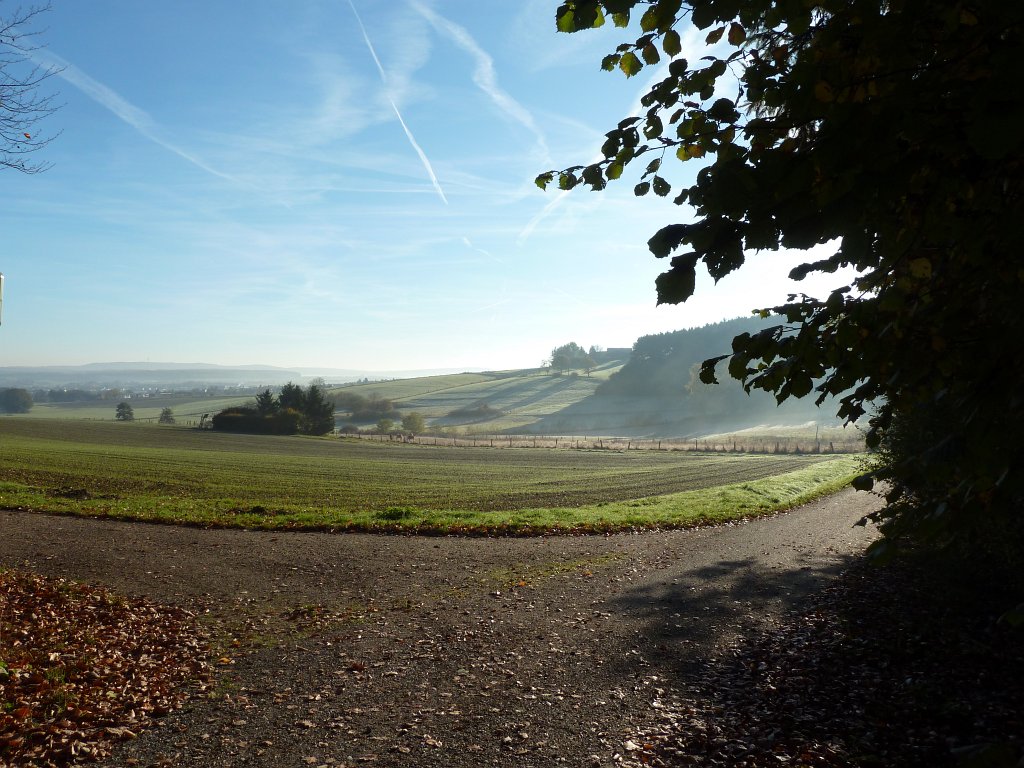 P1110035.JPG - Entering the open