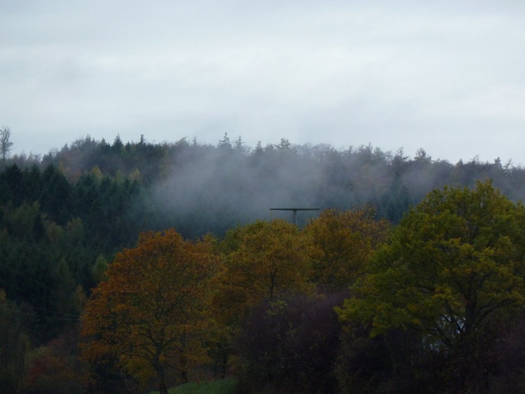 P1110053.JPG - Morning fog