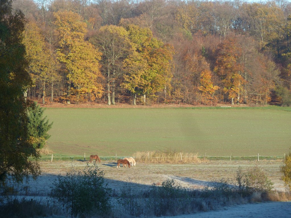 P1110091.JPG - Warming up in the sun