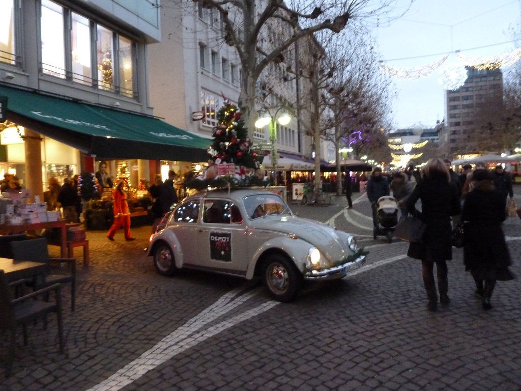 P1110311.JPG - Santa Claus beetle