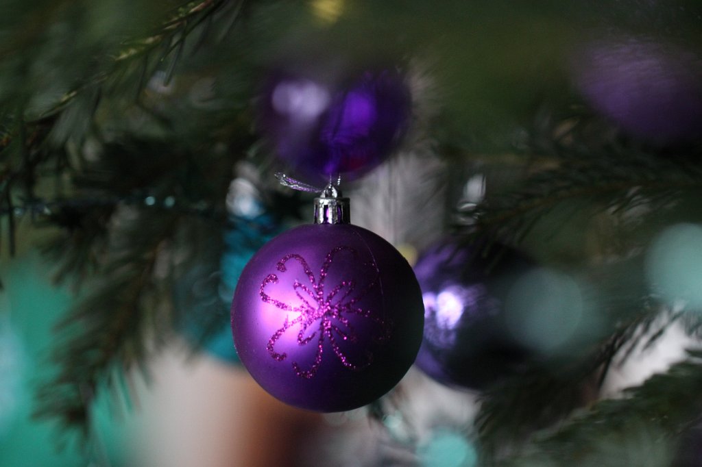 IMG_8507.JPG - Weihnachtsbaum