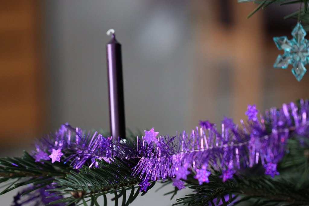 IMG_8508.JPG - Weihnachtsbaum