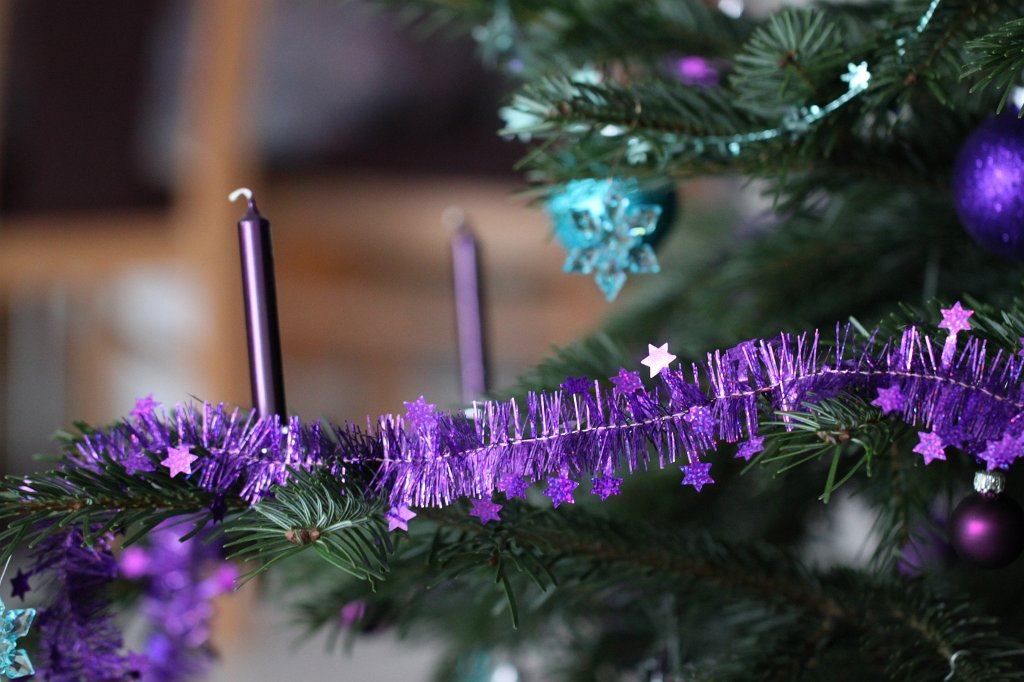 IMG_8509.JPG - Weihnachtsbaum