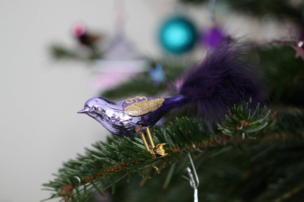 IMG_8552.JPG - Weihnachtsbaum