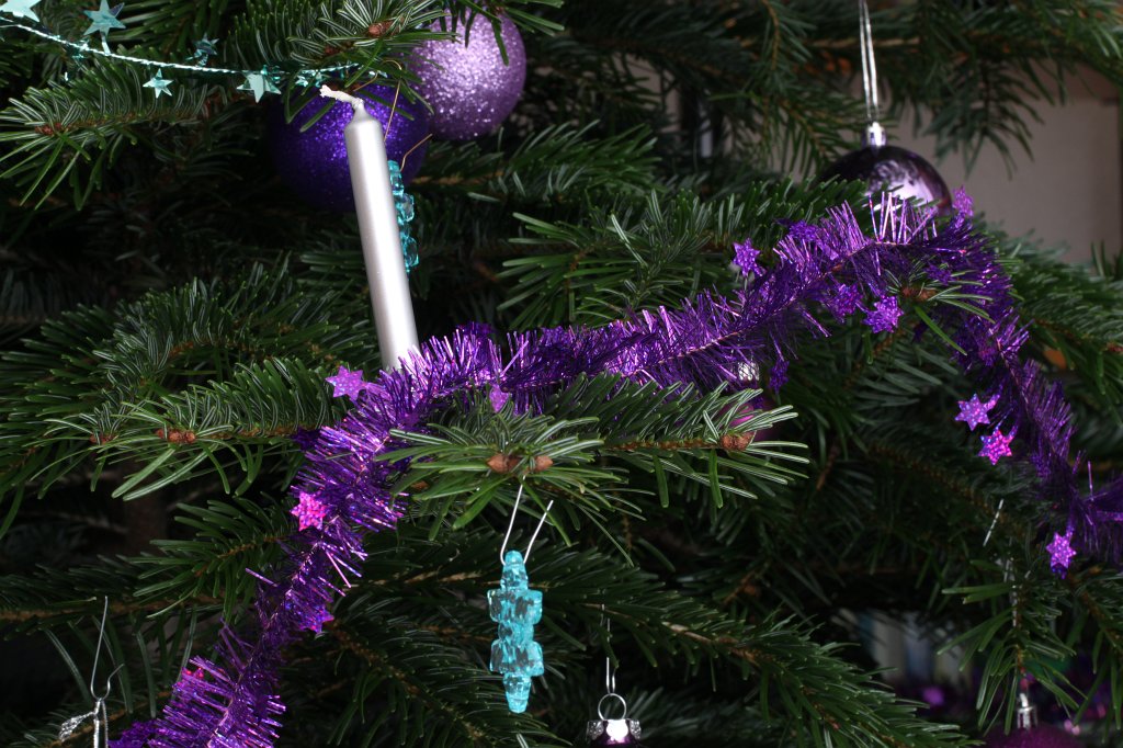 IMG_8556.JPG - Weihnachtsbaum