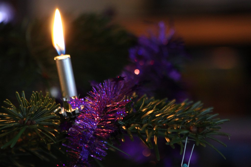 IMG_8574.JPG - Kerzen am Weihnachtsbaum