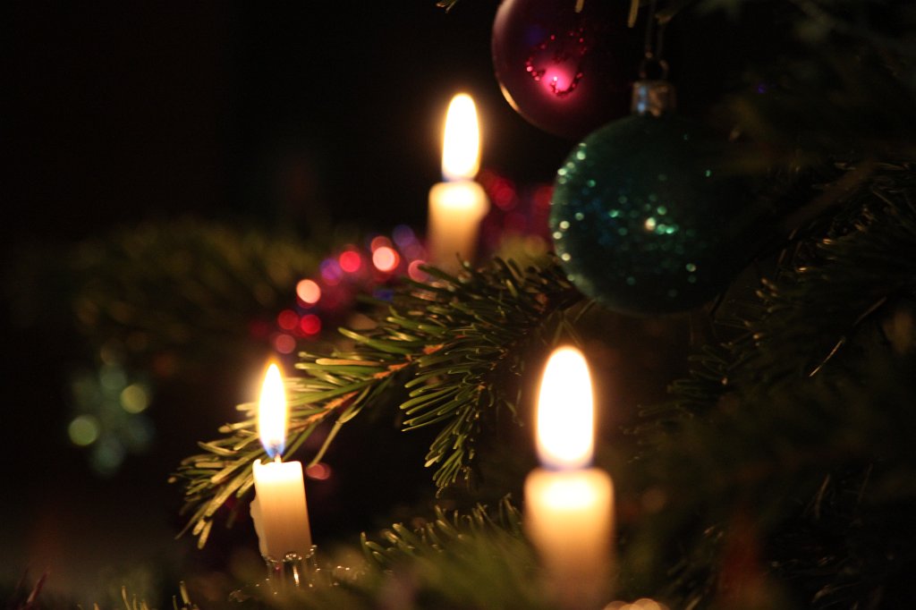 IMG_8608.JPG - Candles on the tree