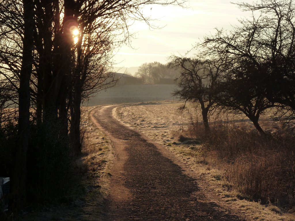 P1110348.JPG - Path through meadows with hoar frost