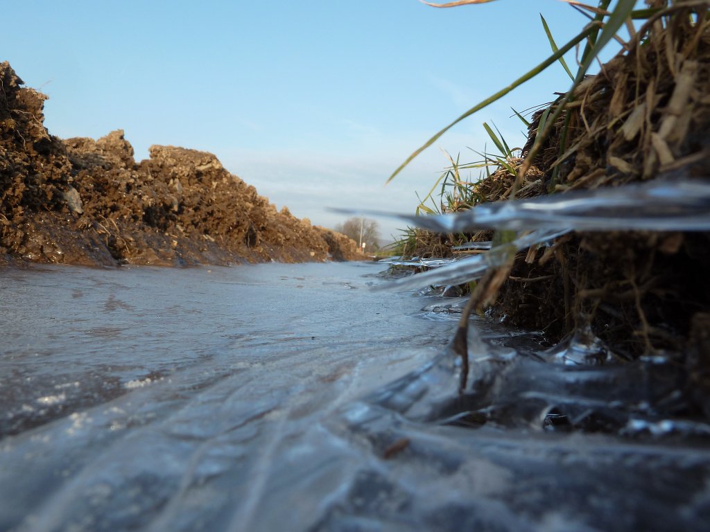 P1110401.JPG - Frozen puddle