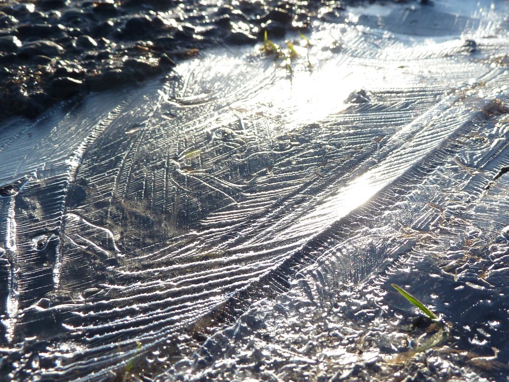 P1110434.JPG - Traces and first green in an iced puddle
