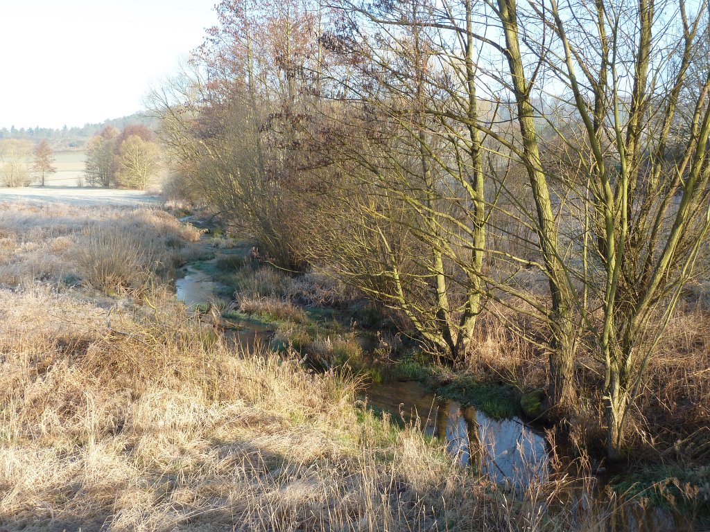 P1110459.JPG - Renaturated flow Arnsbach