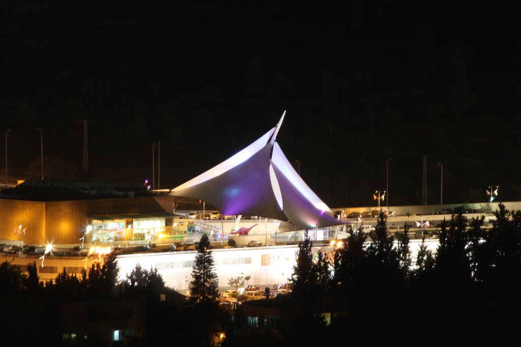 IMG_9483.JPG - Lonely Dinosaur