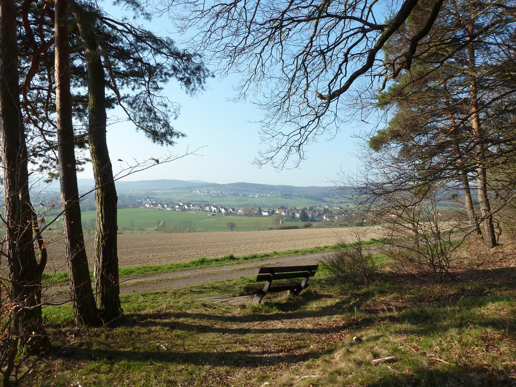 P1110726.JPG - Edge of the wood