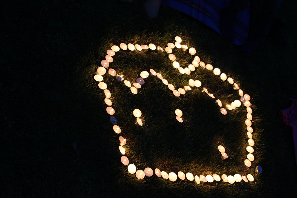 IMG_1161.JPG - The lights of the  Palmengarten  Lichterfest