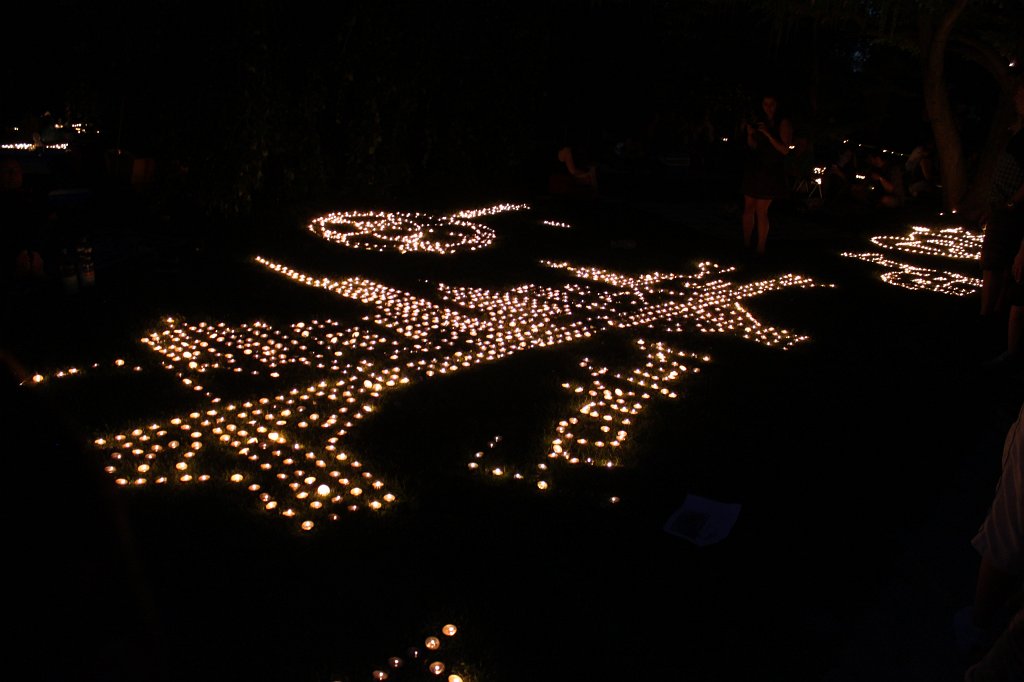 IMG_1164.JPG - The lights of the  Palmengarten  Lichterfest