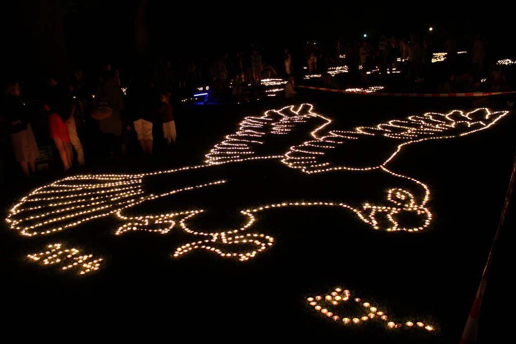 IMG_1217.JPG - The lights of the  Palmengarten  Lichterfest